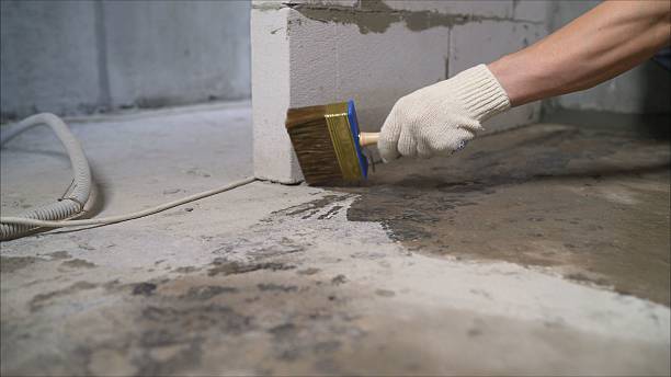 SJ Waterproofing Pros Waterproofing coverage map for Walnut Grove, AL and surrounding area